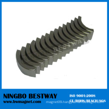 Neodymium Arc Shape Segment Magnets for Motor